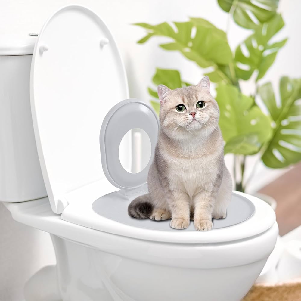 How to Train Your Cat to Use a Toilet