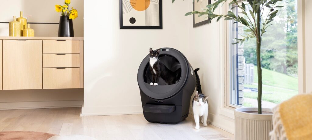 Best Automatic Litter Boxes for Multi-Cat Homes